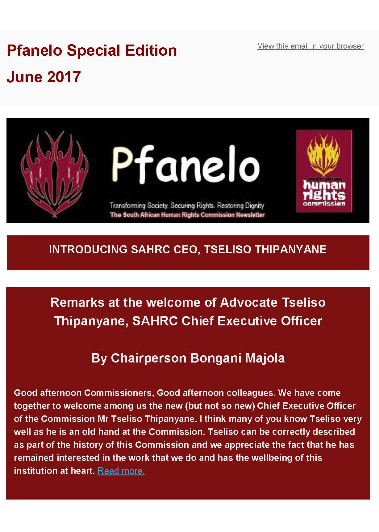 Pfanelo Newsletter Editions