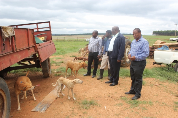 migration-equality-img-9