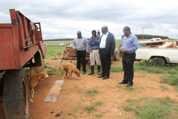 migration-equality-img-11